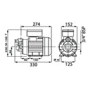 230V Electric Vane Pump for Lube Oil - AMAIreland - 