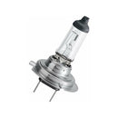 Ama Bulb - H7 Halogen  Bulb - 12V
