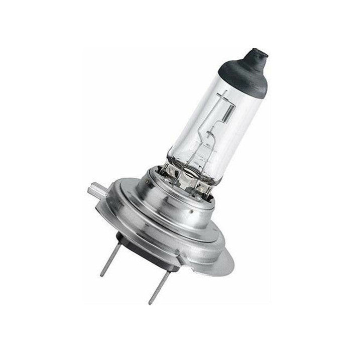 Ama Bulb - H7 Halogen  Bulb - 12V