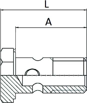 Banjo Bolt - 10x1 - AMAIreland - 