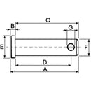 "D" Shackle Pin - Thickness 12mm - AMAIreland - 