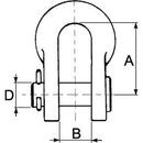 "D" Shackle with Pin - 5/8" - AMAIreland - 