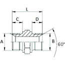 Adaptor - BSP to Metric Male / Male - 1/4" - 16x1.5