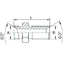 Adaptor - Bulkhead BSP Male / Male - 3/8"- 3/8"