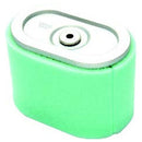 Air Filter - Cartridge Type - Briggs & Stratton - AMAIreland - 