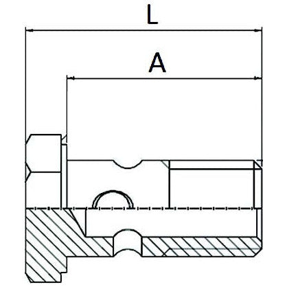 Banjo Bolt - 1/4" - AMAIreland - 