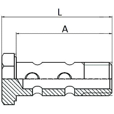 Banjo Bolts with 8 Holes - 3/8" - AMAIreland - 
