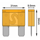 Bladed Fuse - Maxi - AMAIreland - 