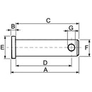 "D" Shackle Pin - Thickness 14mm - AMAIreland - 