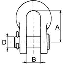 "D" Shackle with Pin - 1/2" - AMAIreland - 