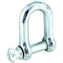 Dee Shackle