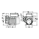 Diesel Self Priming Rotary Electric Vane Pump - AMAIreland - 