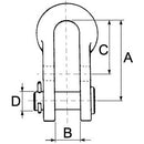 Double Hole "D" Shackles with Pin - AMAIreland - 