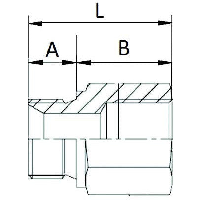Extension Adaptor BSP Male / Female - 38mm - AMAIreland - 