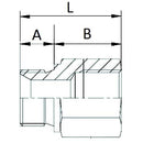 Extension Adaptor - BSP - Male / Female - 1/2"