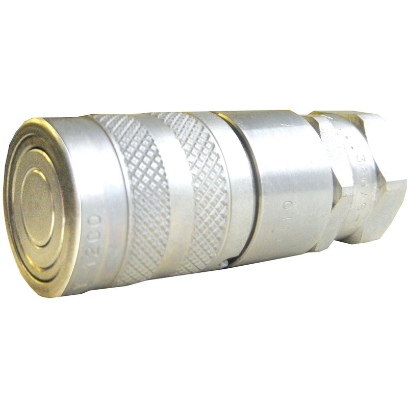 Female Flat Face Type - AMAIreland - 