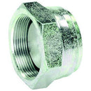 Female Plug - BSP - 1 1/4"