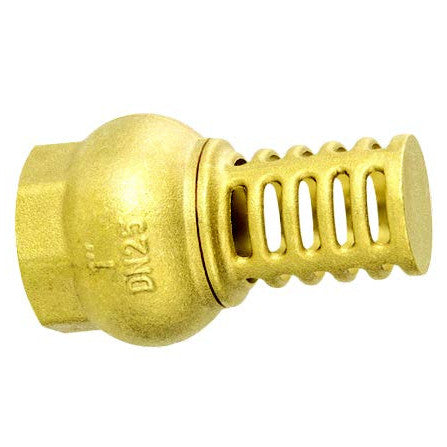 Foot Valves - Brass Strainer - AMAIreland - 