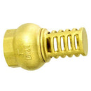 2" Foot Valves - Brass Strainer