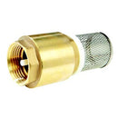 Foot Valves - Inox Filter - AMAIreland - 