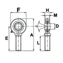 GAKFR..PB-SAKAC..M Series Rod End Bearing Male Thread - ID 28mm - AMAIreland - 