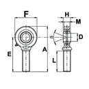 GAKFR..PW-SAKB..F Series Rod End Bearing Male Thread - ID 22mm