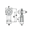 GIKFR..PW-SIKB..F Series Rod End Bearing Female Thread - ID 10mm - AMAIreland - 