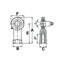 GIR..DO-2RS Series Rod End Bearing Female Thread - ID 8mm