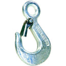 Lifting Hook