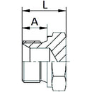 Male Plug - BSP - 3/4"