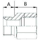 Reducing Adaptor - BSP - Male / Female 1/4" - 1/2"