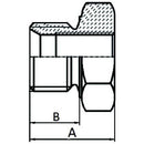 Reducing Plug - BSP - 1" - 3/4"