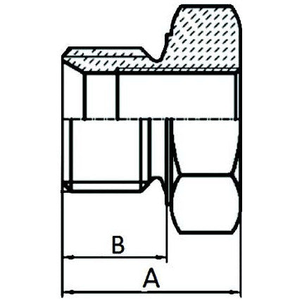 Reducing Plug - BSP 1/4" - 1/8" - AMAIreland - 