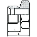 Reducing Plug - BSP 3/8" - 1/4" - AMAIreland - 