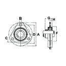 SBPFT Series Pressed Steel 3 Bolt Flange Bearing Self Aligning - SBPFT206
