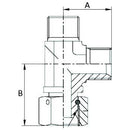Tee Piece  BSP Male / Female - 1/2" - AMAIreland - 
