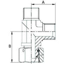 Tee Piece - BSP - Male / Female - 3/8"