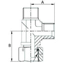 Tee Piece  BSP Male / Female - 3/8" - AMAIreland - 