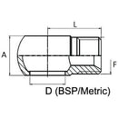 Threaded Banjo End - BSP - 1/4"
