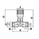 Two Way Flow Control Valve - 3/8" BSP