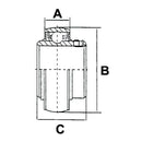 UC Bearing Insert - UC206