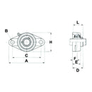 UCFL Series 2 Bolt Flange Bearing Complete - UCFL204 - AMAIreland - 