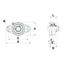 UCFL Series 2 Bolt Flange Bearing Complete - UCFL204