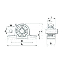 UCP Series Pillow Block Bearings Complete - UCP204