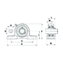 UCP Series Pillow Block Bearings Complete - UCP211 - AMAIreland - 