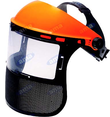 Visor with Clear & Net Screen